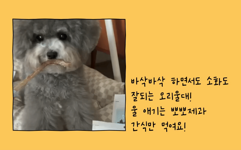 [무료배송] 뽀뽀제과 다이어트 육포 3종 세트 7번째