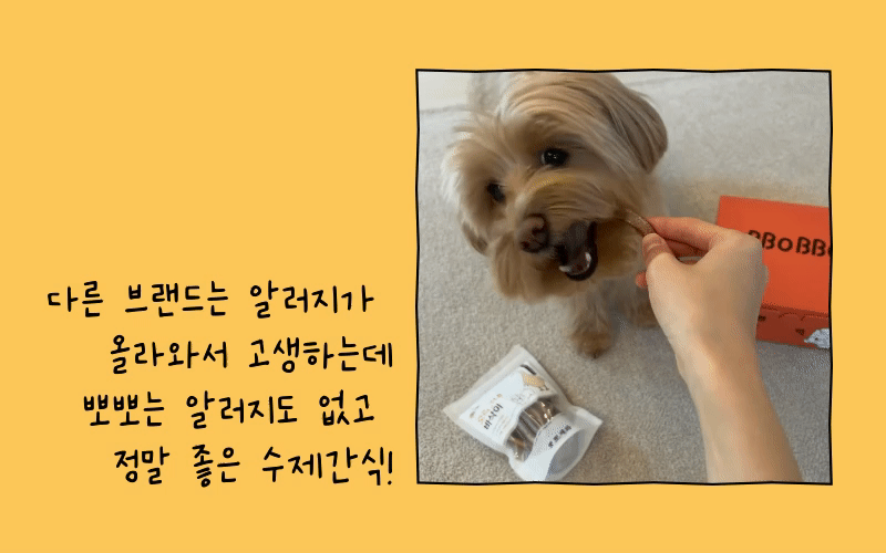 [무료배송] 뽀뽀제과 다이어트 육포 3종 세트 6번째