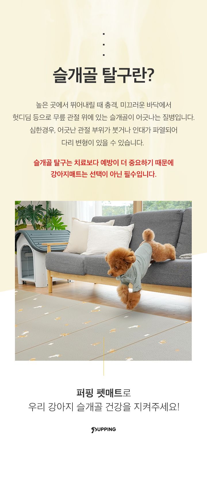 [무료배송] 퍼핑 펫매트 폴딩타입 견종 디자인 비숑/웰시코기/말티즈/포메라니안/푸들 3번째
