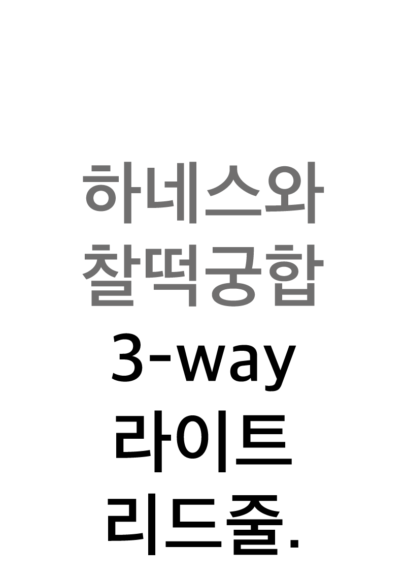 [NEW신상][무료배송] 코코넛즈 3-way 라이트 리드줄 - 베이지 2번째