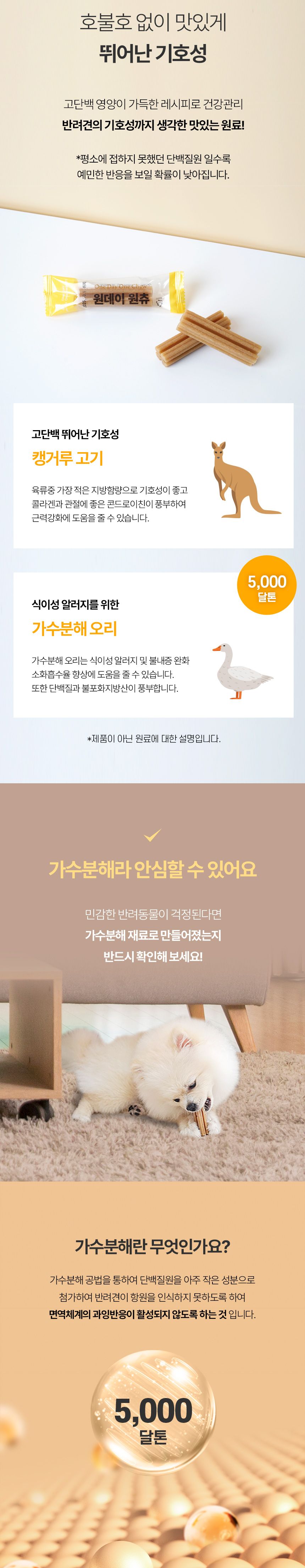 [NEW신상]원데이원테블릿 독 원데이원츄 덴탈껌 192g (12개입) 15번째