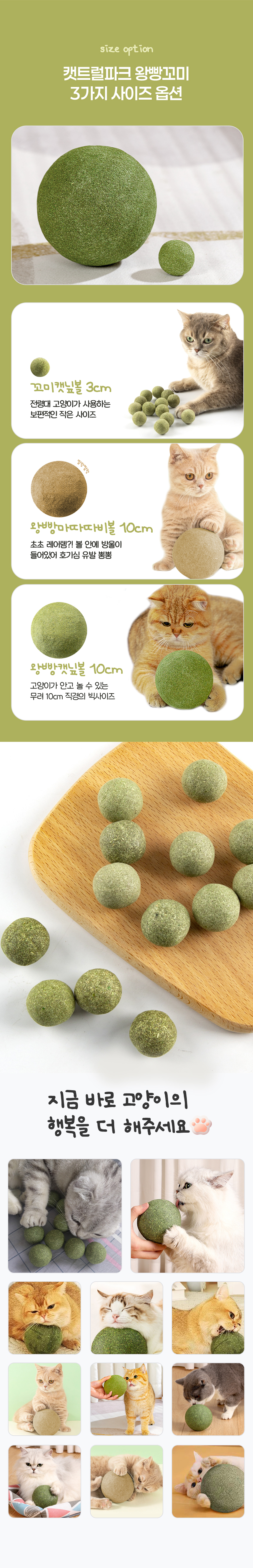 [무료배송] 캣트럴파크 왕빵 캣닢볼 4cm/10cm 3번째
