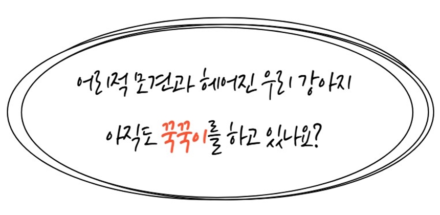 [NEW신상][무료배송] 가을이네 독 잠투정 꾹꾹이 보조 쪽쪽이 3종 세트 1번째