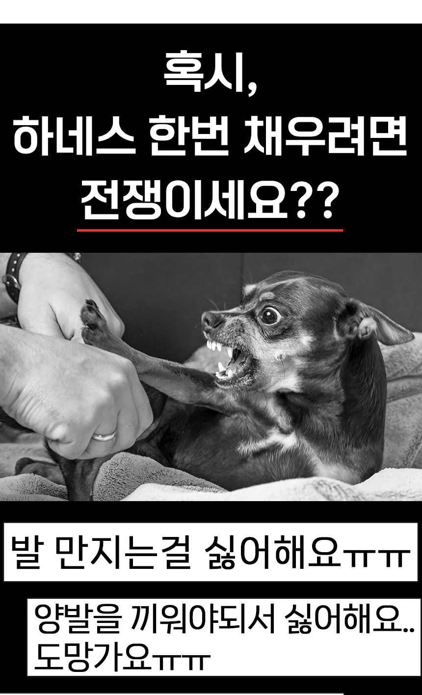 [무료배송] 멍템 팔레트 하네스 10종 XXS-M 8번째