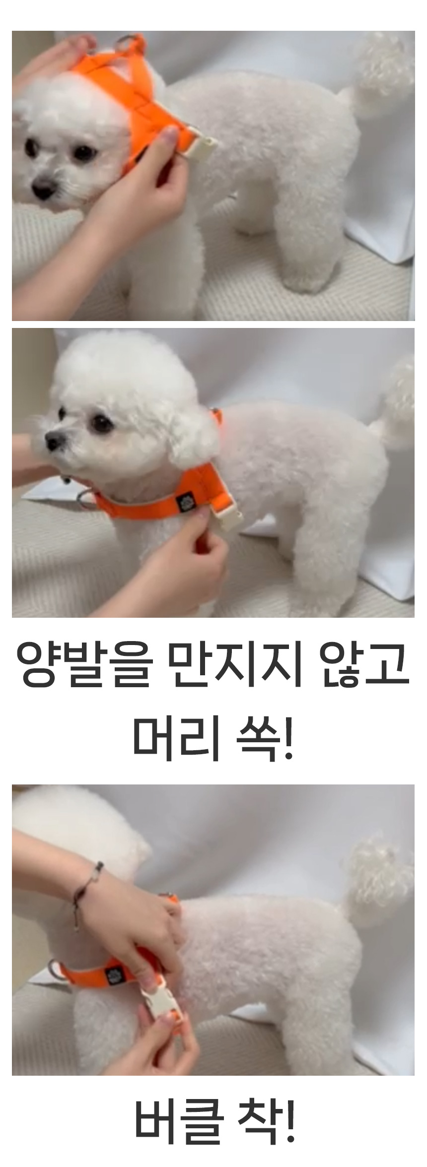 [무료배송] 멍템 팔레트 하네스 10종 XXS-M 2번째