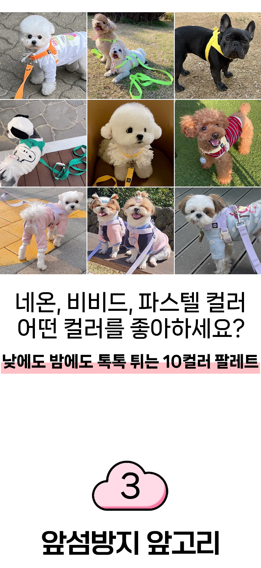 [무료배송] 멍템 팔레트 하네스 10종 XXS-M 15번째