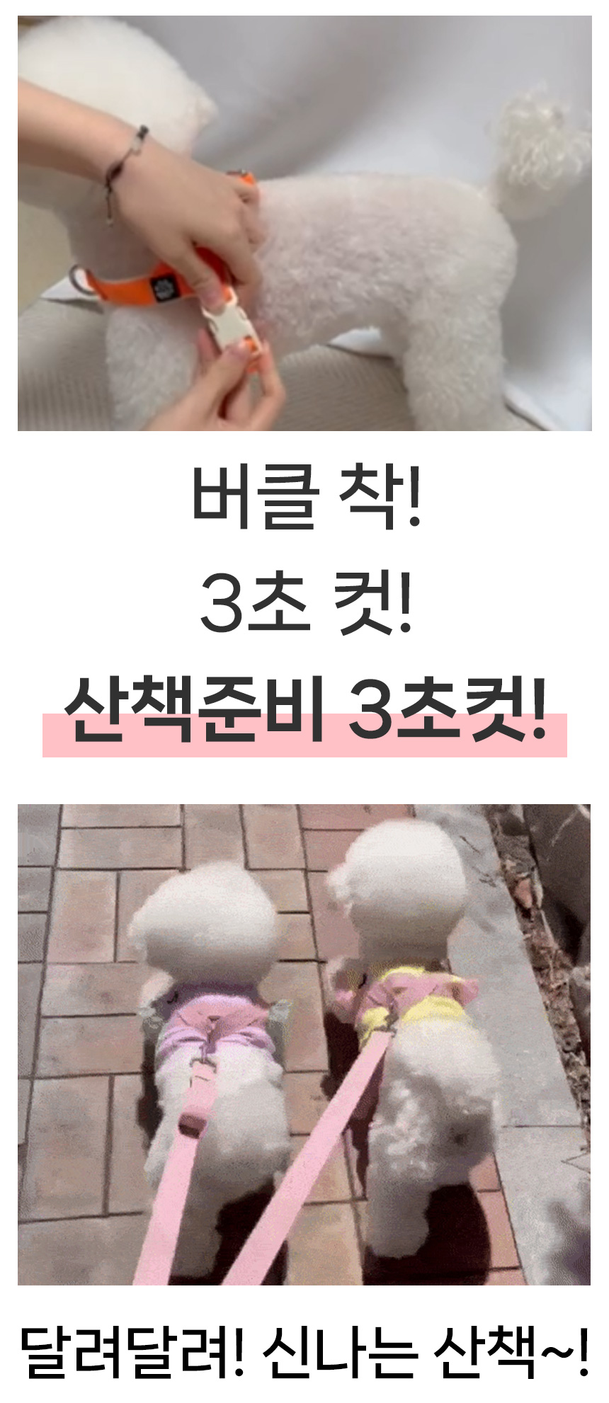 [무료배송] 멍템 팔레트 하네스 10종 XXS-M 13번째