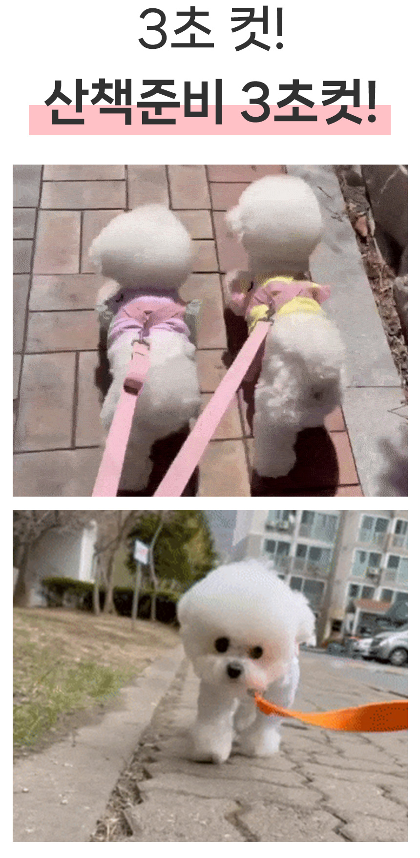 [무료배송] 멍템 팔레트 하네스 10종 XXS-M 3번째