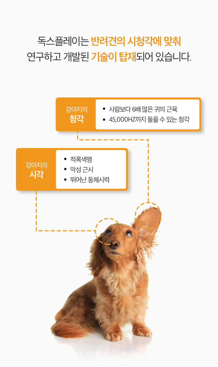 [무료배송] 독스플레이(DOGSPLAY) 라이트블루/블랙 2종 DPT156KR01BL 8번째