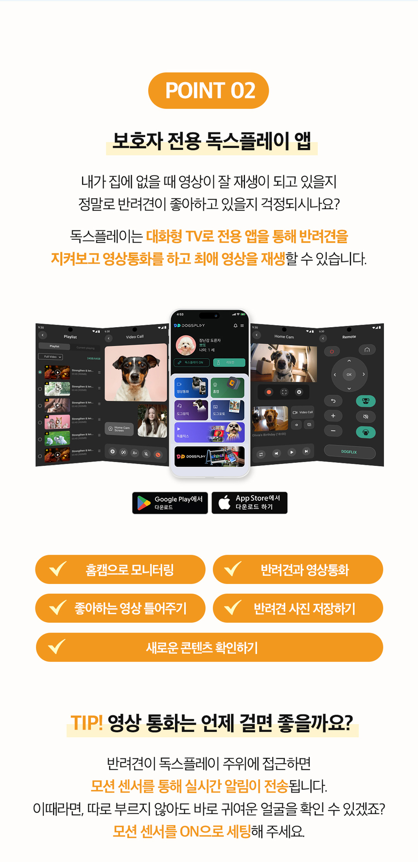 [무료배송] 독스플레이(DOGSPLAY) 라이트블루/블랙 2종 DPT156KR01BL 16번째