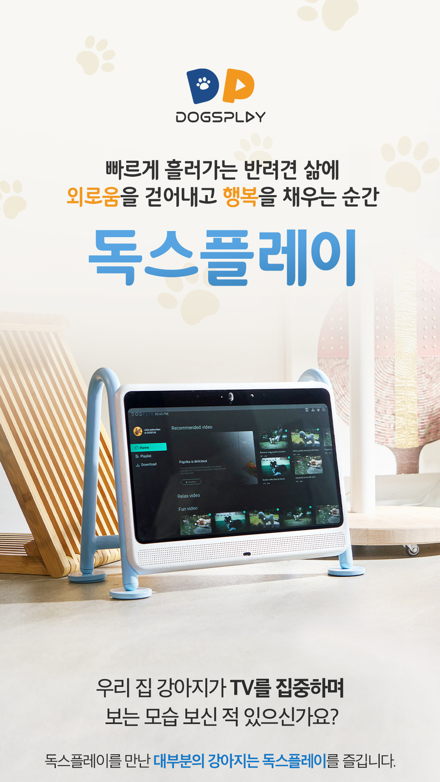 [무료배송] 독스플레이(DOGSPLAY) 라이트블루/블랙 2종 DPT156KR01BL 1번째
