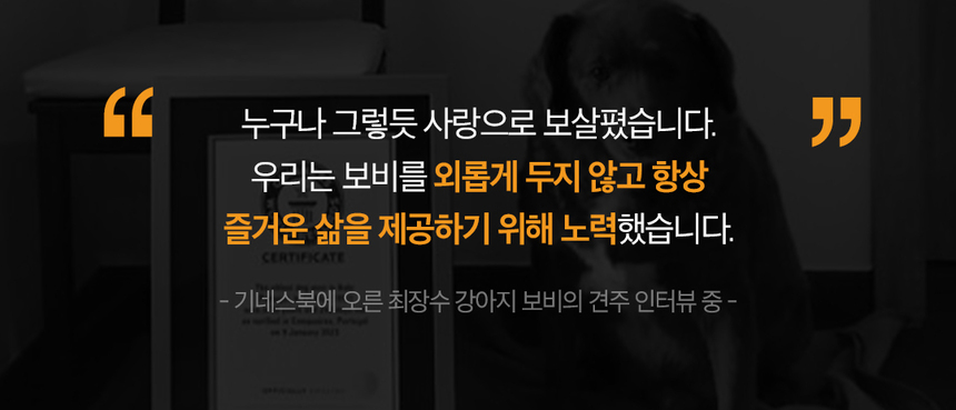 [무료배송] 독스플레이(DOGSPLAY) 라이트블루/블랙 2종 DPT156KR01BL 25번째