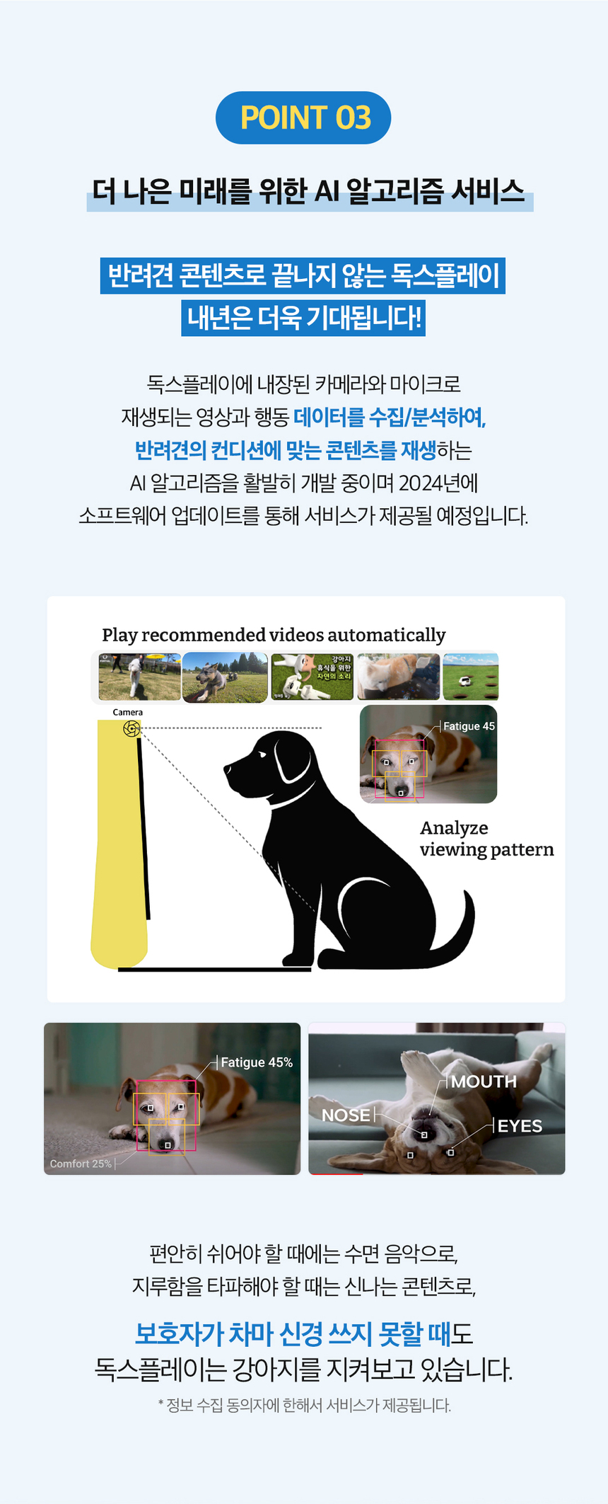 [무료배송] 독스플레이(DOGSPLAY) 라이트블루/블랙 2종 DPT156KR01BL 19번째