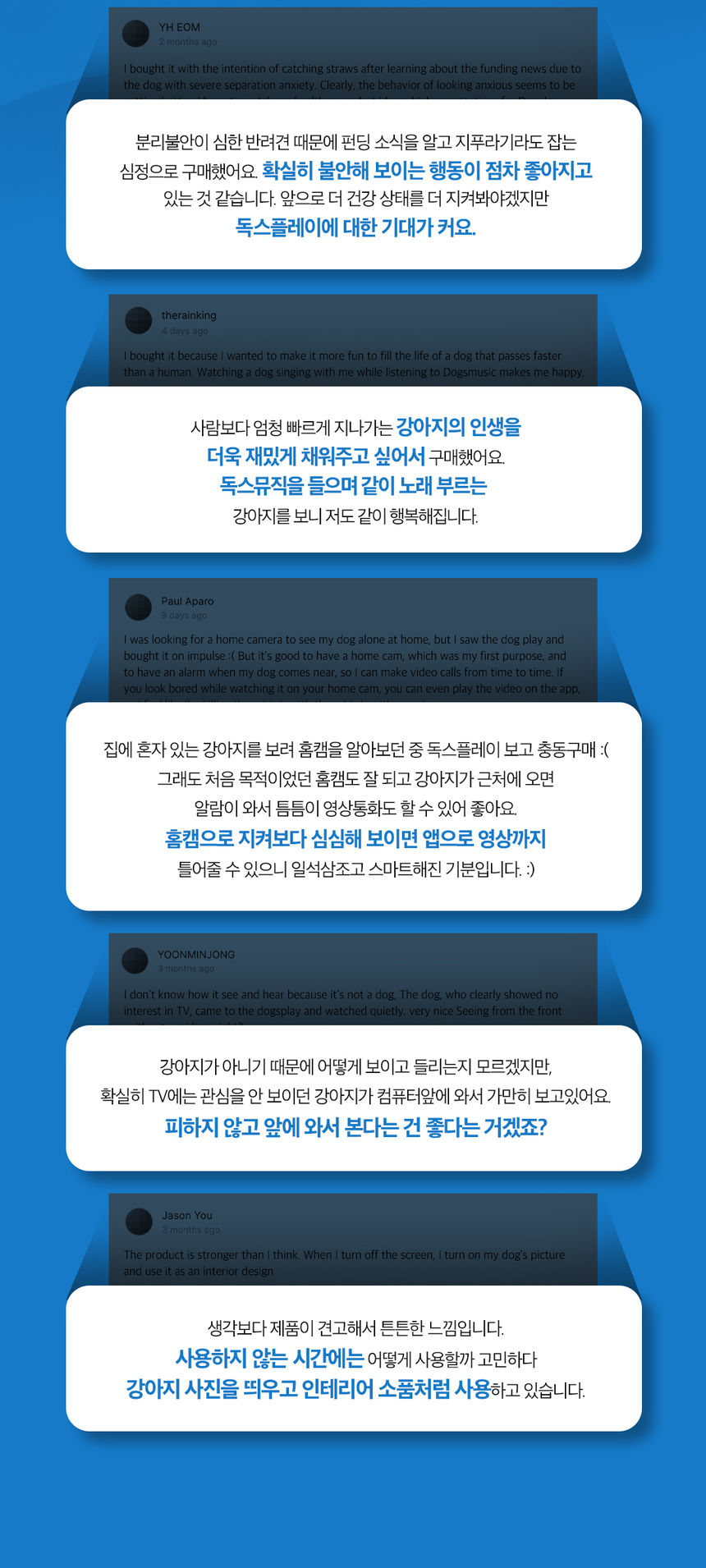 [무료배송] 독스플레이(DOGSPLAY) 라이트블루/블랙 2종 DPT156KR01BL 13번째
