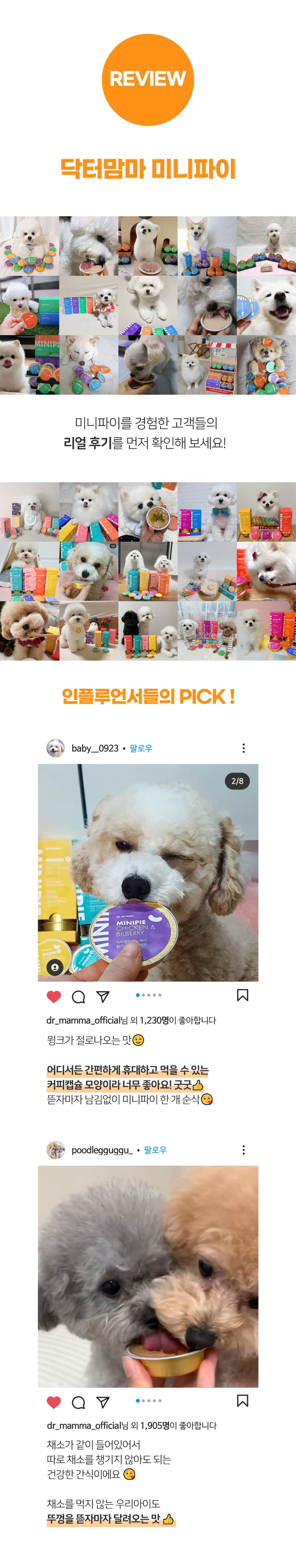 닥터맘마 미니파이 멀티팩(미니파이 10종) 캔 30g*10개 2번째