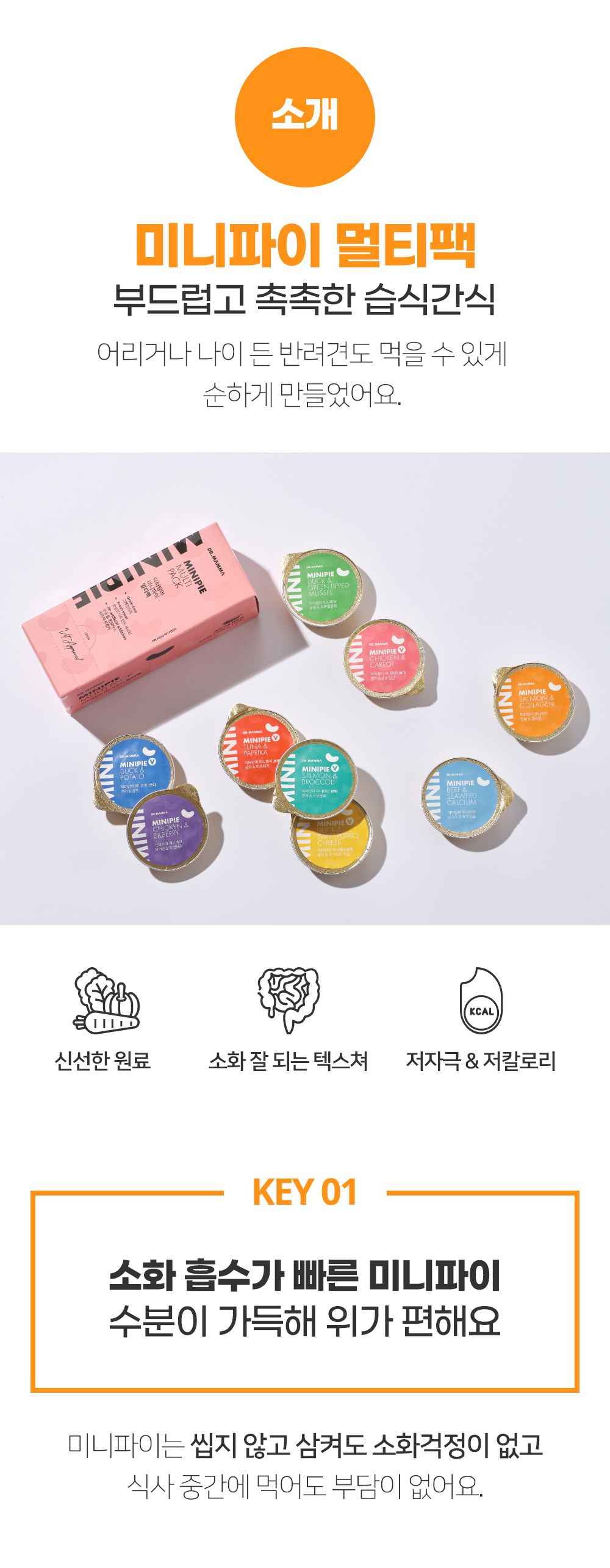 닥터맘마 미니파이 멀티팩(미니파이 10종) 캔 30g*10개 12번째