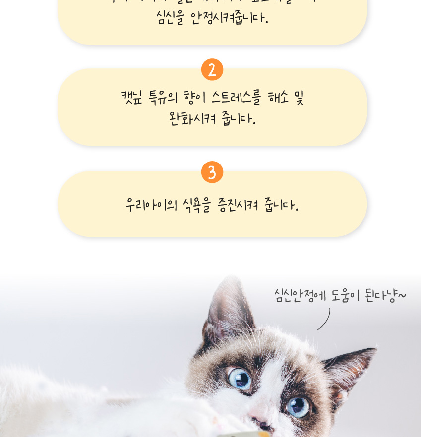 [NEW신상][무료배송] [2개] 벨버드 캣닢 인형 마우스 토이 (랜덤발송) 4번째