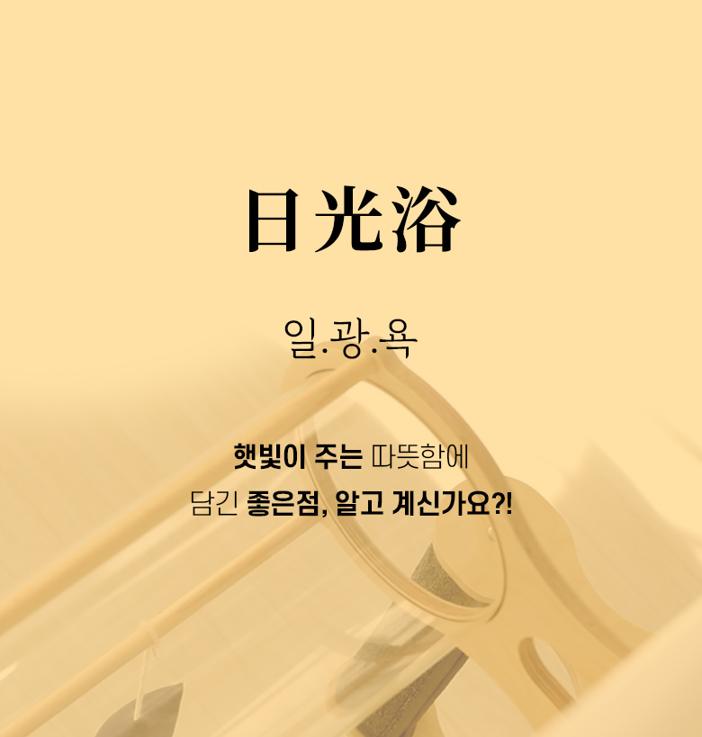 [무료배송] 모넬로 고양이 창문 윈도우 캣타워 터널놀이터 썬워커 GO20221 4번째