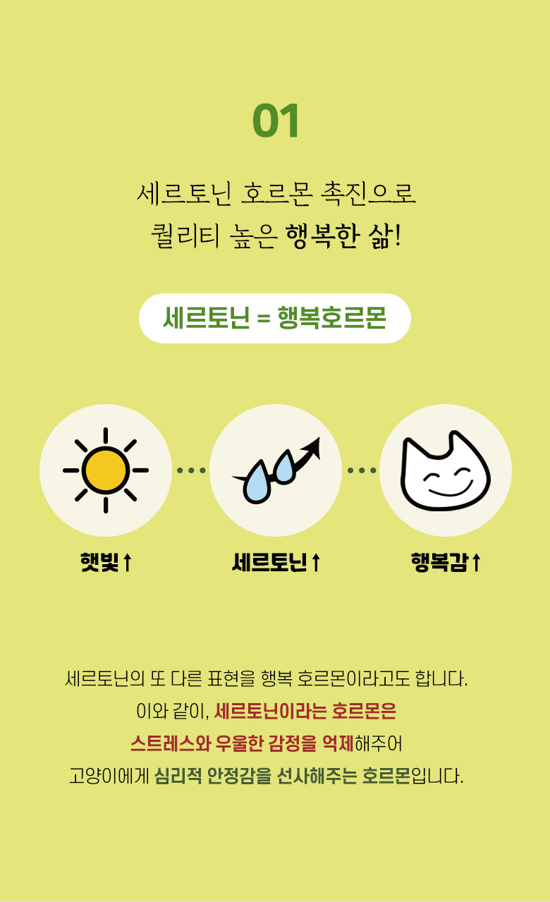 [무료배송] 모넬로 고양이 창문 윈도우 캣타워 터널놀이터 썬워커 GO20221 5번째
