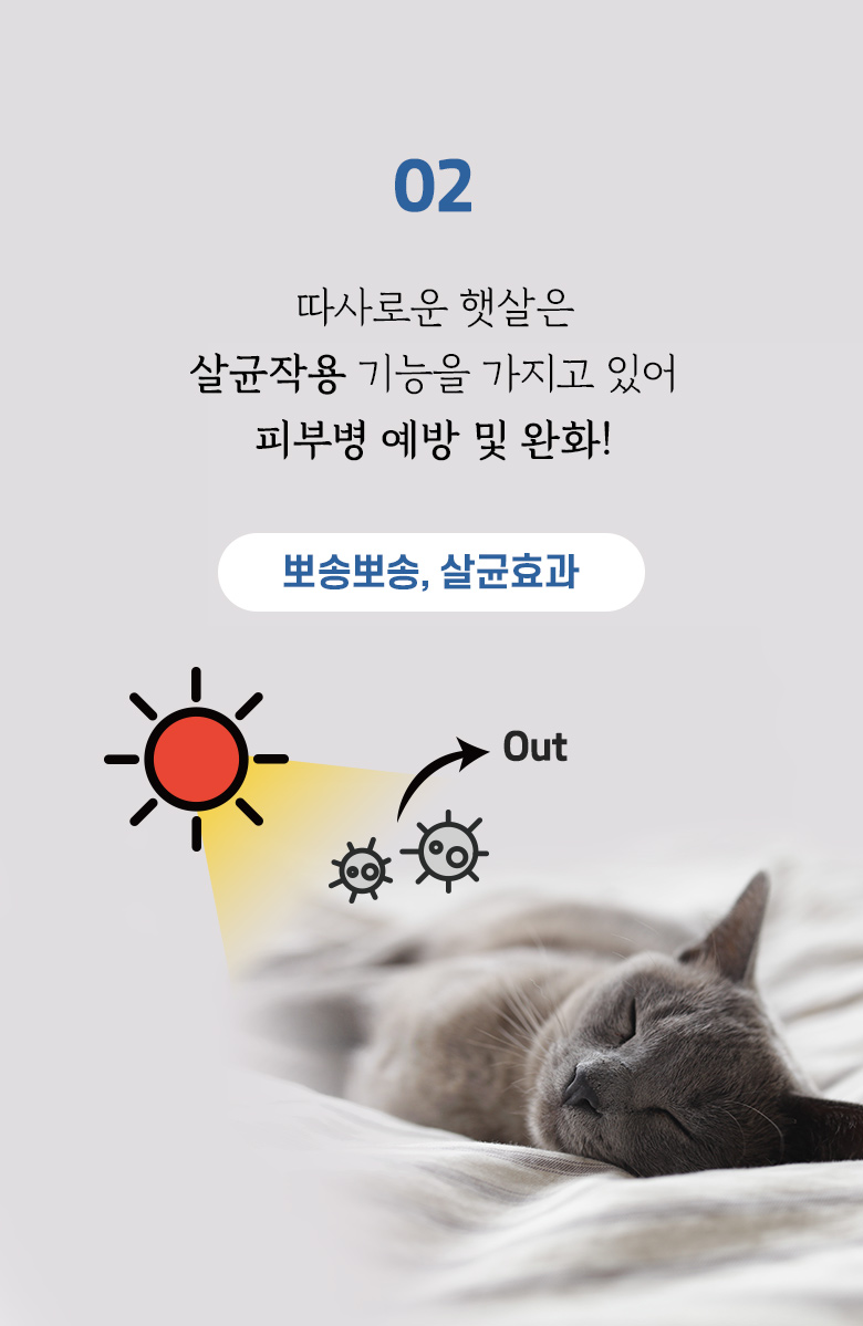 [무료배송] 모넬로 고양이 창문 윈도우 캣타워 터널놀이터 썬워커 GO20221 6번째