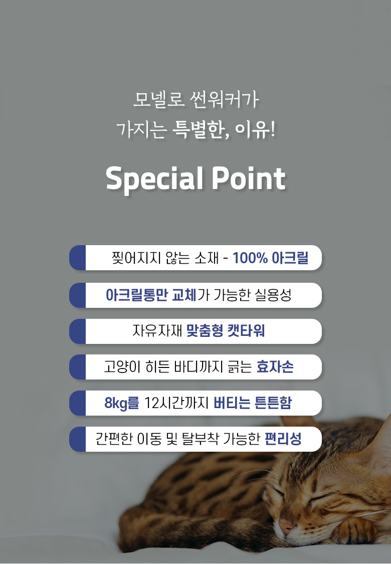 [무료배송] 모넬로 고양이 창문 윈도우 캣타워 터널놀이터 썬워커 GO20221 8번째