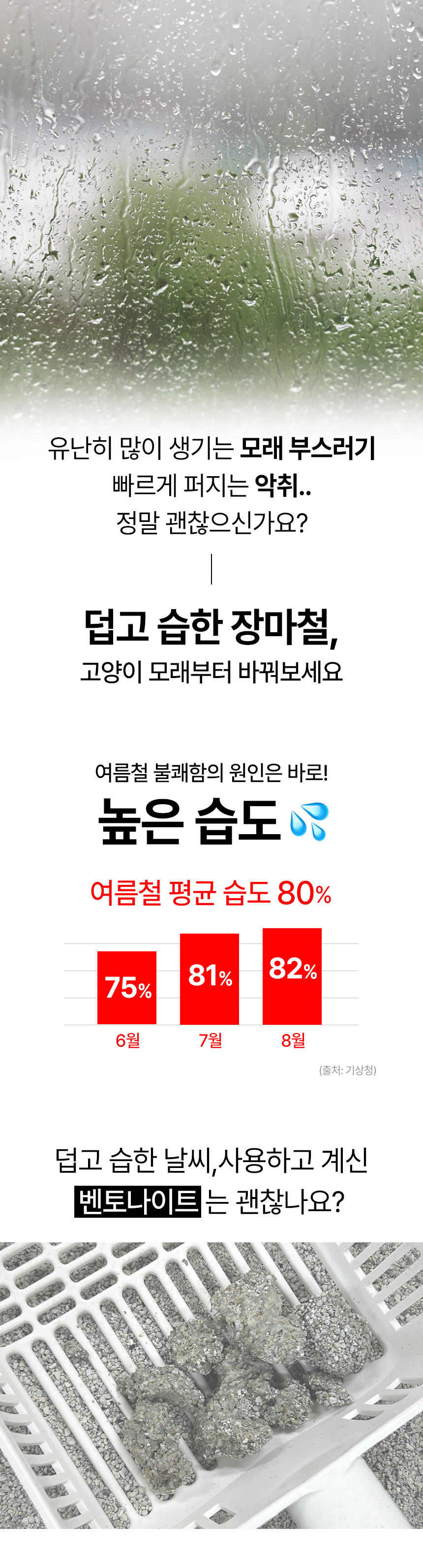 [럭키세일][무료배송][3개] 강집사 샌드 여름모래 벤토나이트 고양이모래 6kg 1번째