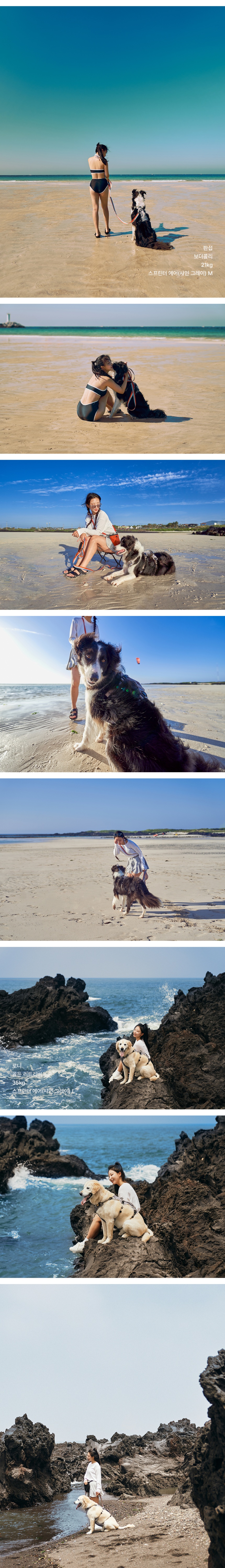 [NEW신상][무료배송] 젠틀우프 스프린터 에어 강아지하네스 중대형견용 (4color/3size) 4번째