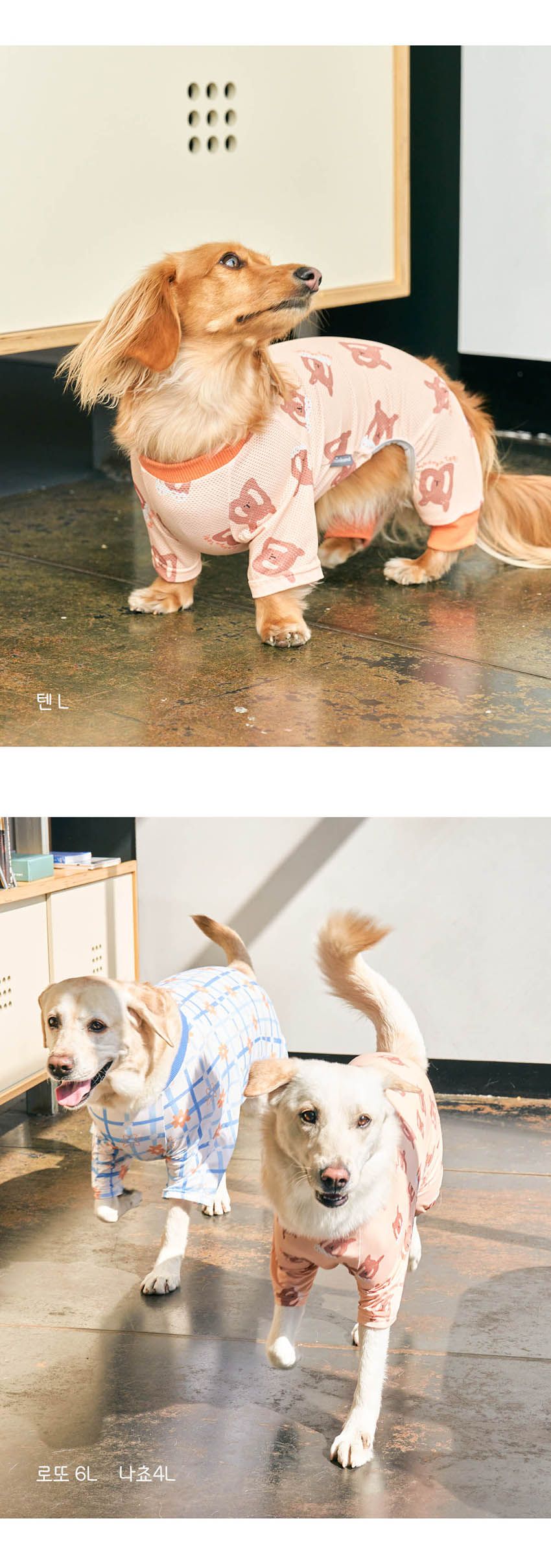 [무료배송] 뮤니쿤트 버그가드 올인원 그린 가든 4L-6L 9번째