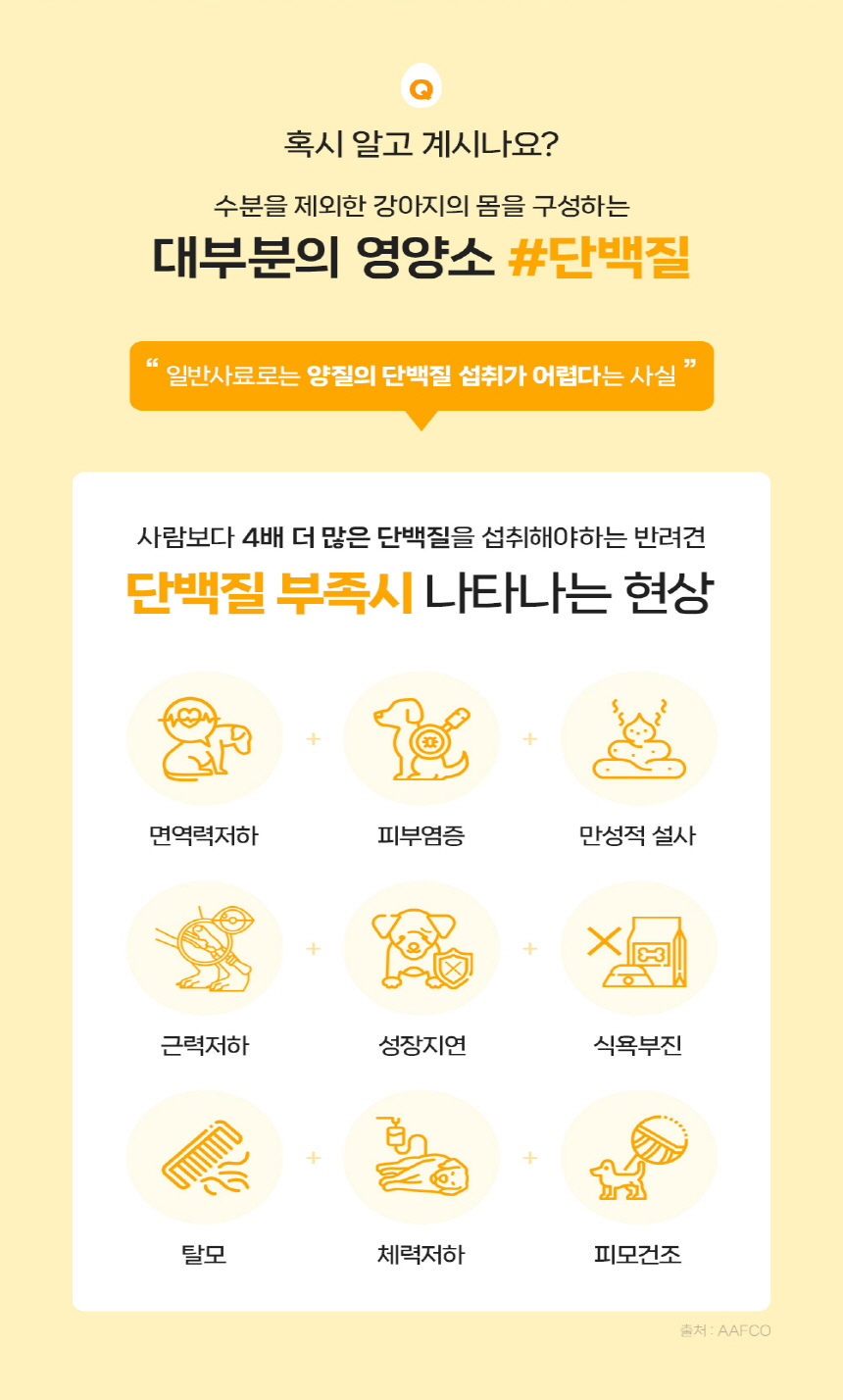[무료배송] 베츠웰 에그랑 면역건강 50g 5pcs 2번째