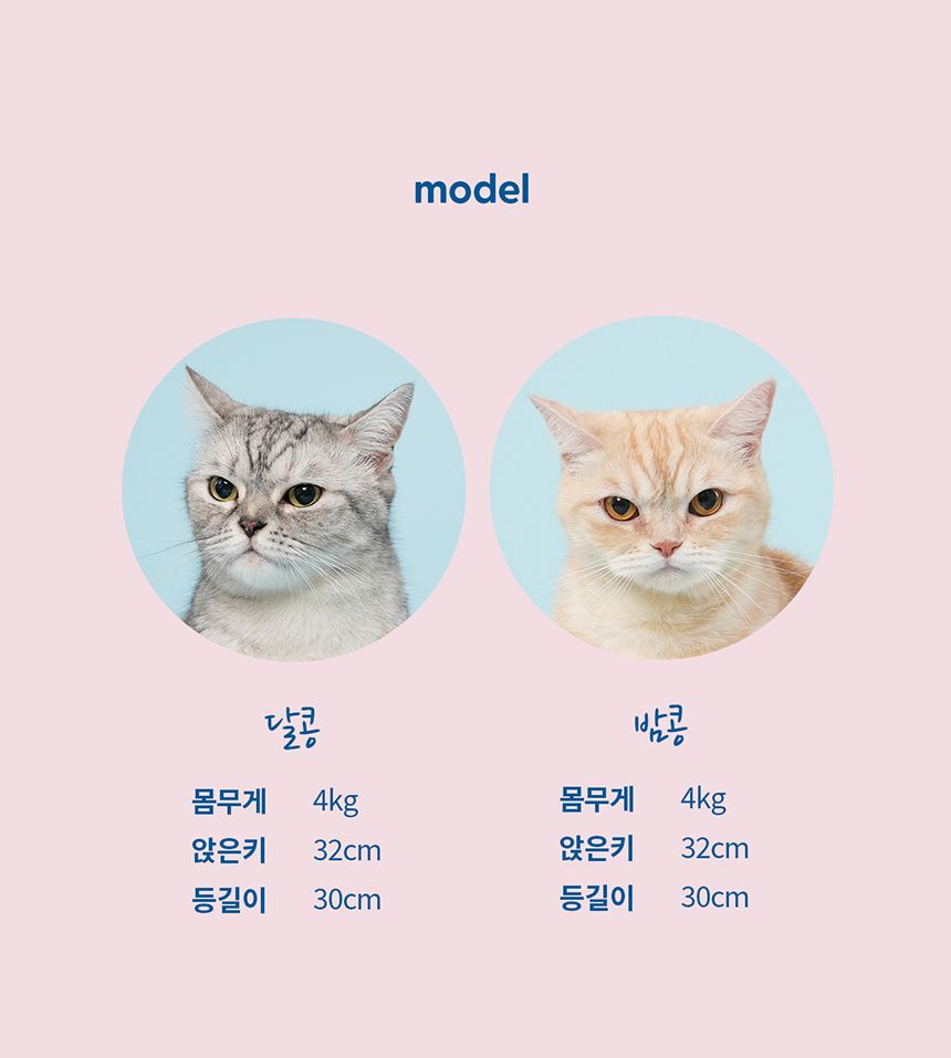 [NEW신상][무료배송] 두잇 블랙클리너 핑거티슈 20번째