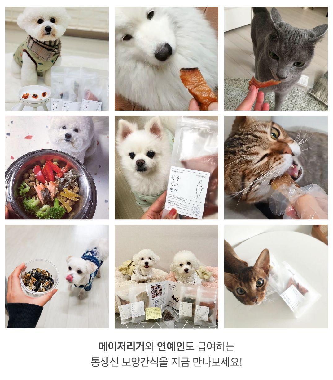 [무료배송] 동해형씨 원물건조 방어 75g 2번째