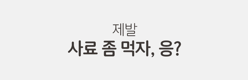 [무료배송] 펫토리아 한끼뚝딱 독 수제 화식 강아지 사료+사은품 간식 [모음] 10번째