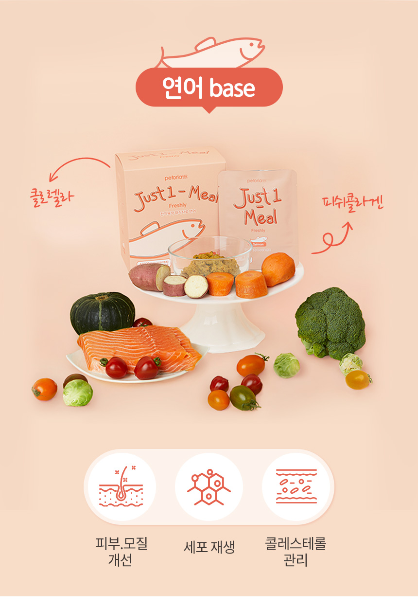 [무료배송] 펫토리아 한끼뚝딱 독 수제 화식 강아지 사료+사은품 간식 [모음] 19번째