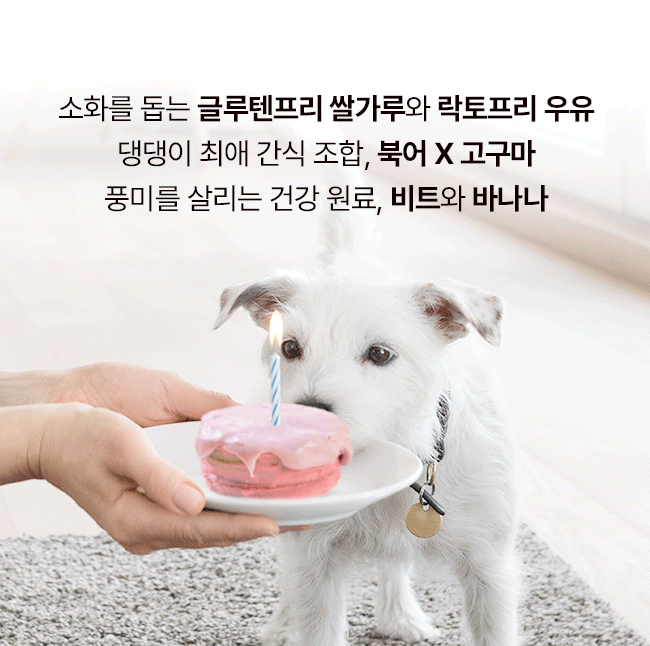 [NEW신상][무료배송] 파이25 DIY 북어구마 케이크 6번째