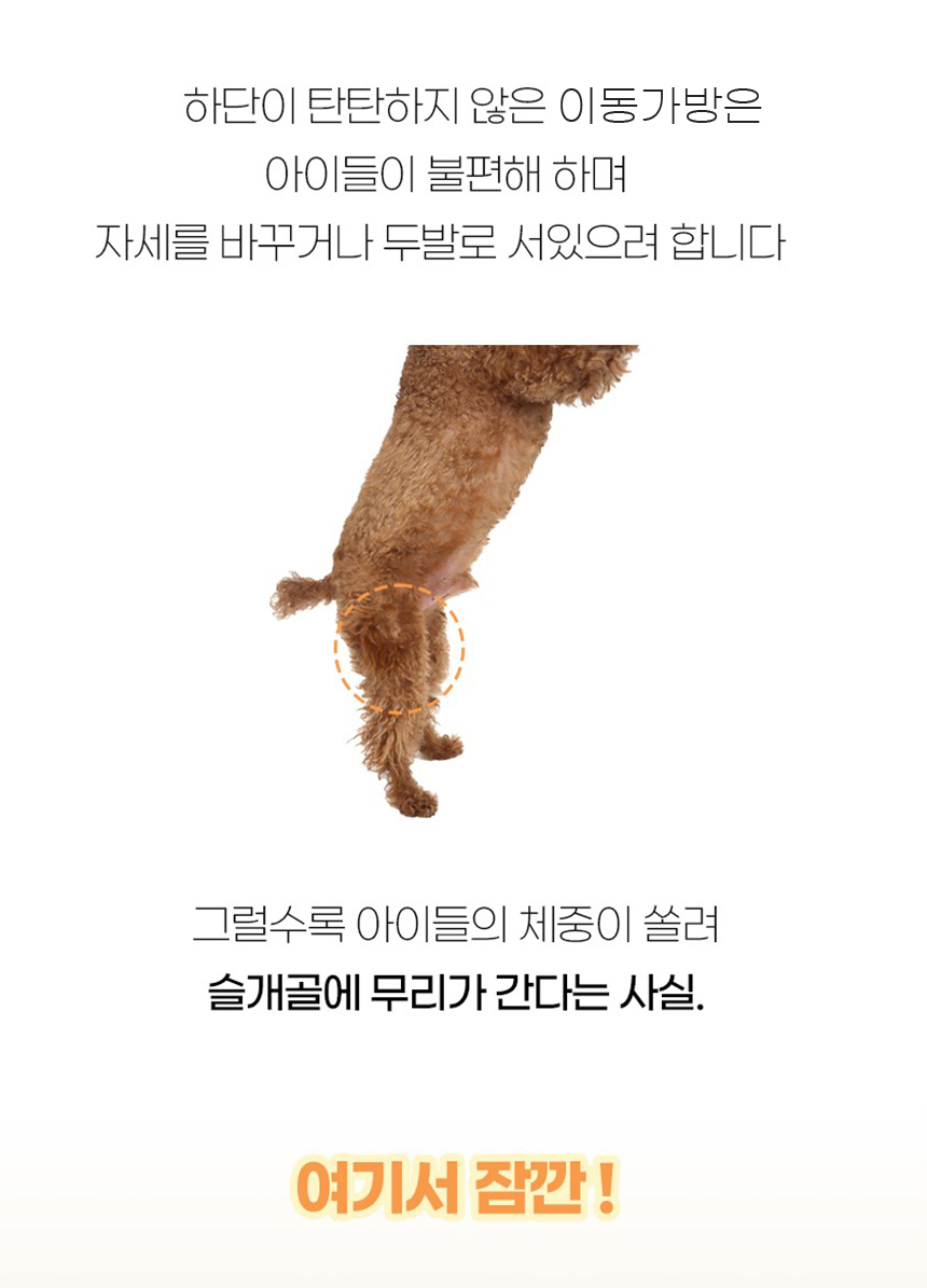 [NEW신상][무료배송] 개과천선 에디토 이동가방 5번째