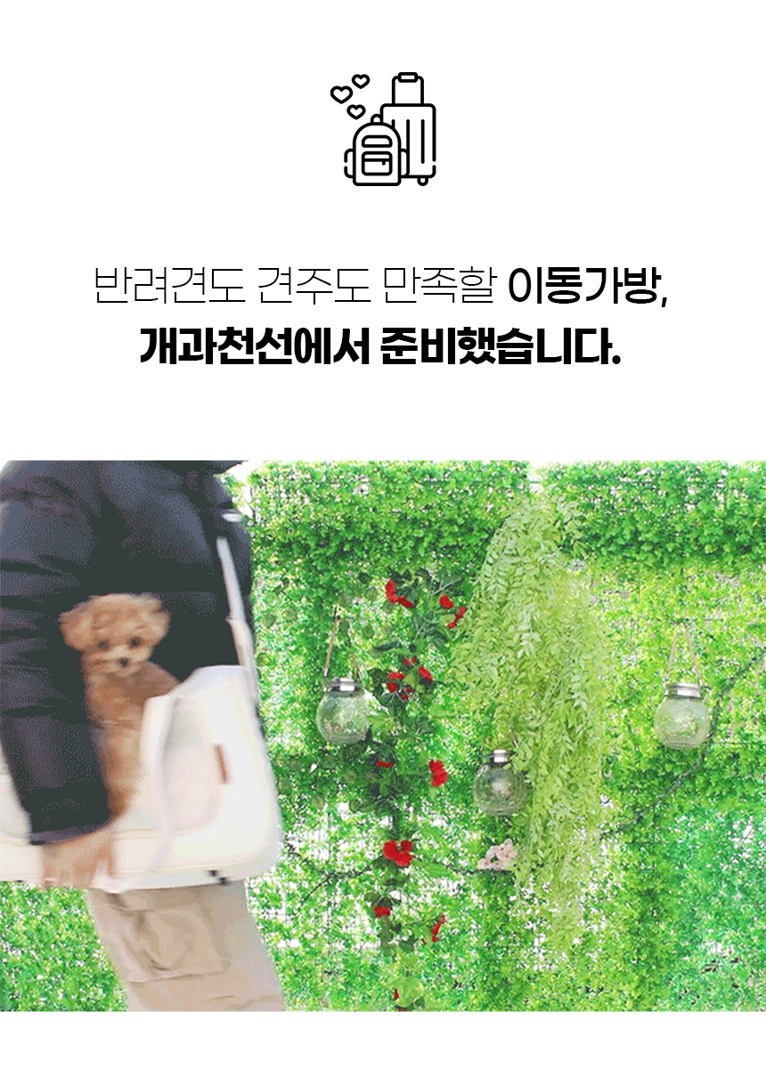 [NEW신상][무료배송] 개과천선 에디토 이동가방 3번째