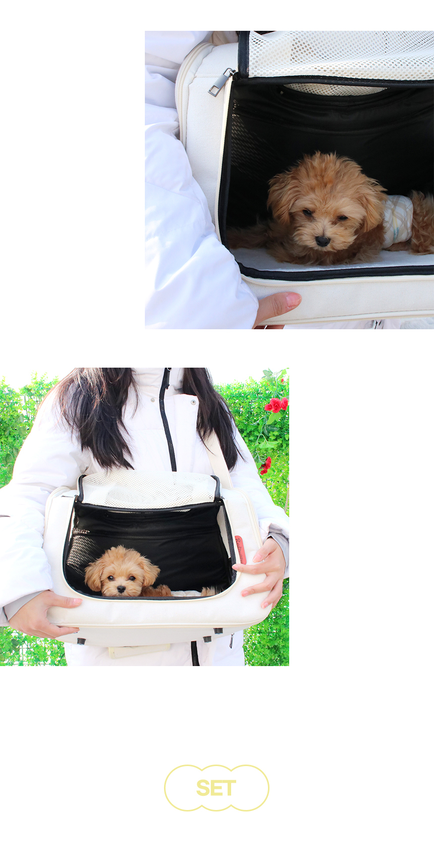 [NEW신상][무료배송] 개과천선 에디토 이동가방 22번째