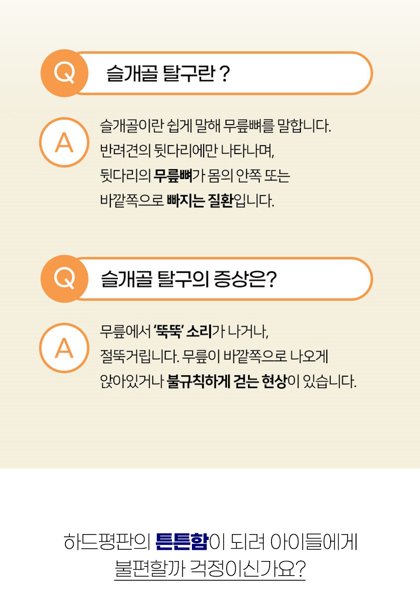 [NEW신상][무료배송] 개과천선 에디토 이동가방 6번째