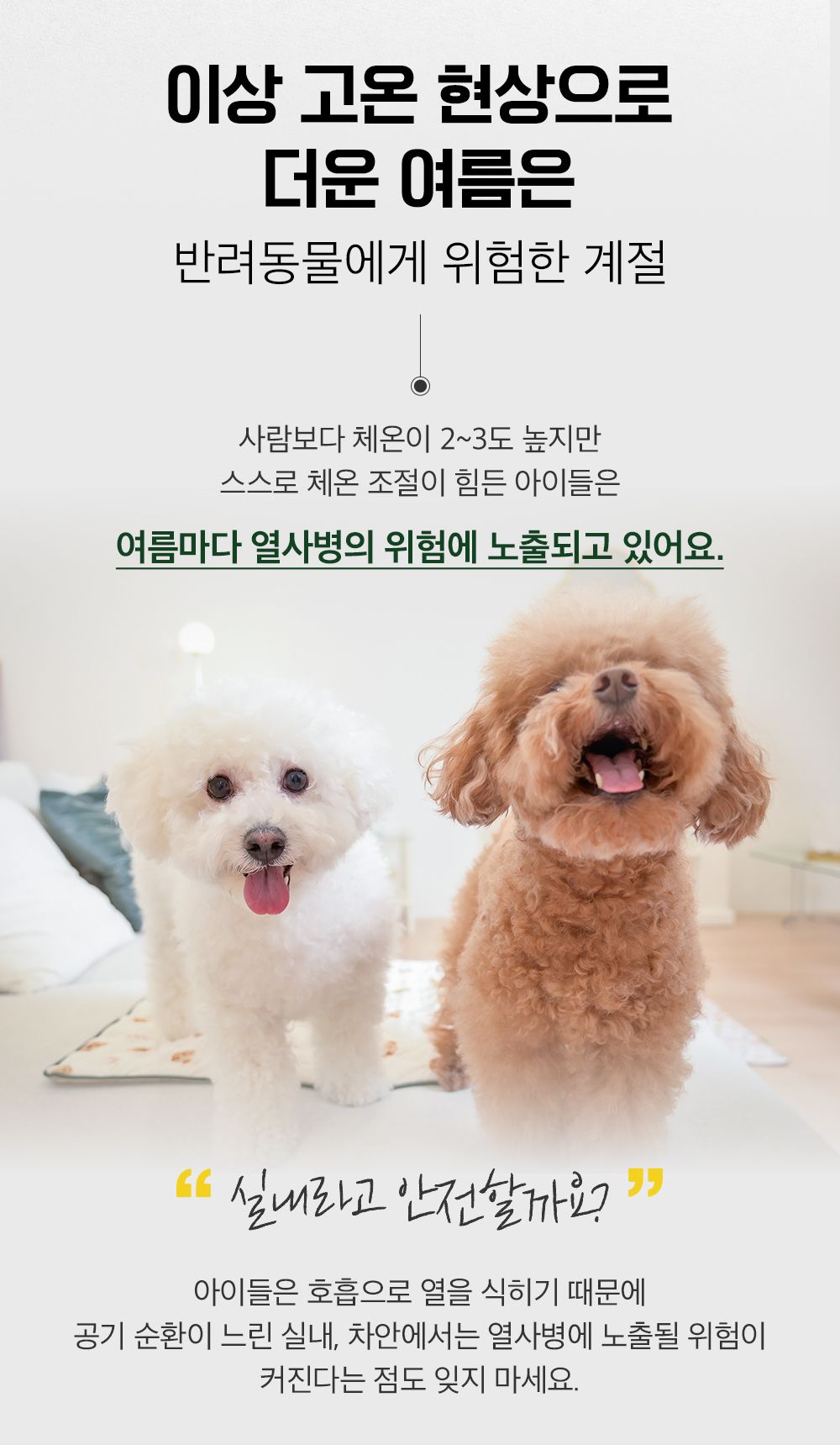 [사전예약2차] 반짝 인견 쿨링 매트 커버 곰돌이 M/L + 쿨젤 매트 증정 1번째