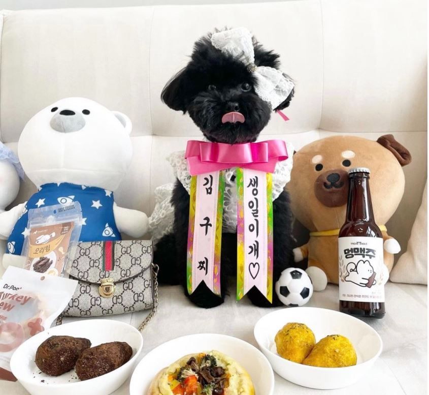 [무료배송] 찰리롤리 댕냥화환 내새끼도 화환쓴다개  10번째