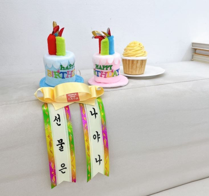 [무료배송] 찰리롤리 댕냥화환 내새끼도 화환쓴다개  31번째