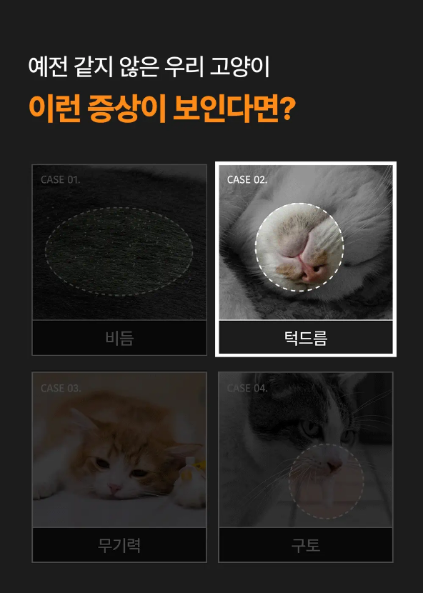 프로젝트21 캣 하루채움 무항생제 닭 12g*15p 3번째