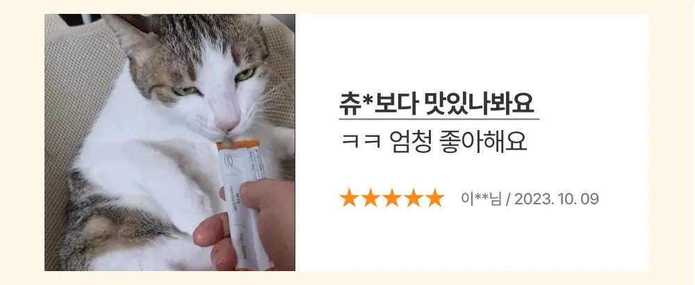 프로젝트21 캣 하루채움 무항생제 닭 12g*15p 14번째