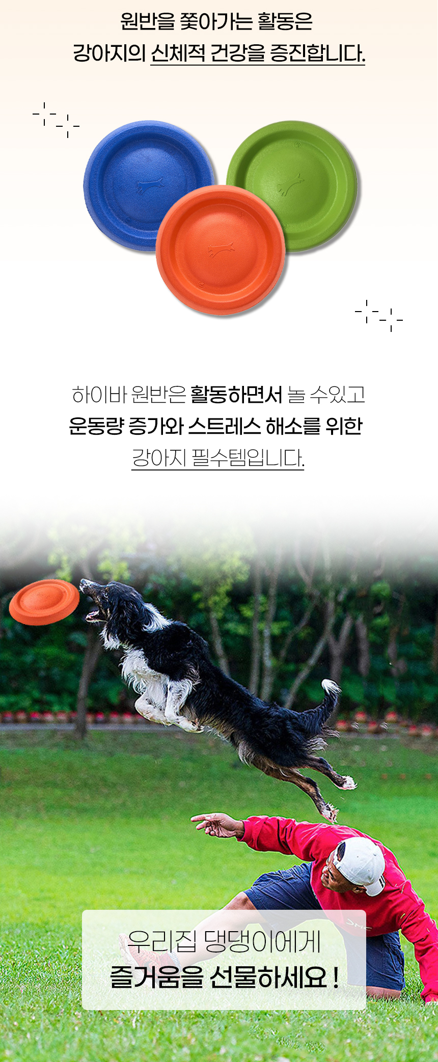 [NEW신상][무료배송] 개과천선 독 하이바 원반 장난감 (오렌지/그린티/아쿠아) 2번째