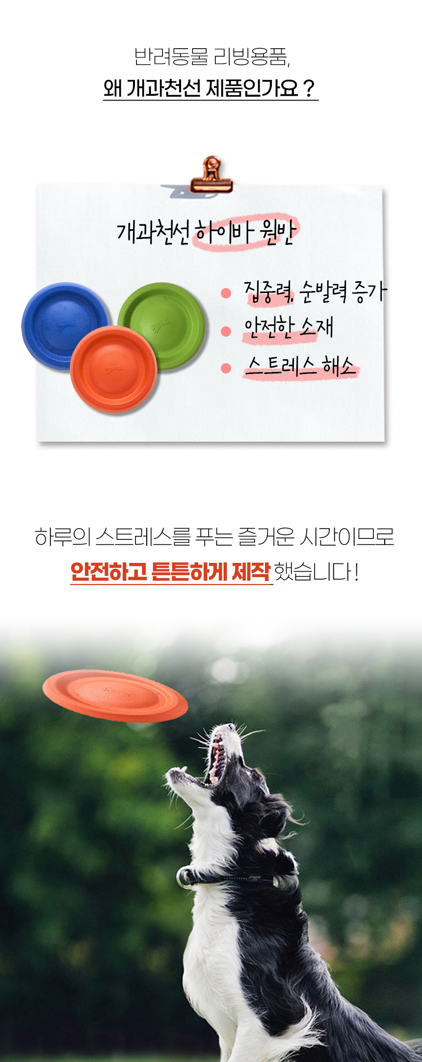 [NEW신상][무료배송] 개과천선 독 하이바 원반 장난감 (오렌지/그린티/아쿠아) 4번째