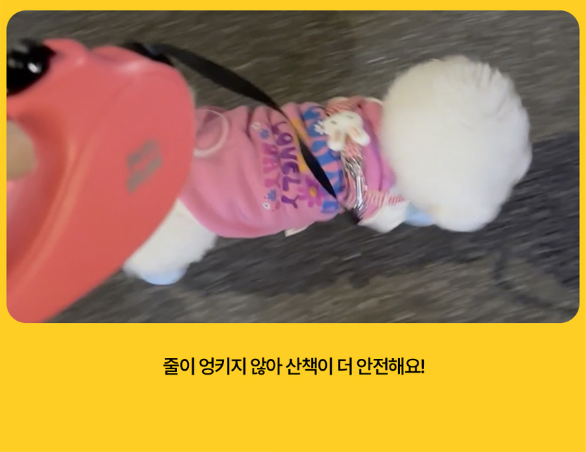 [무료배송] 페키움 자동 리드줄 14번째