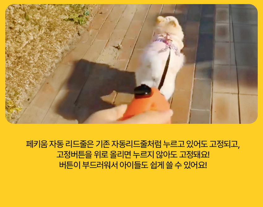 [무료배송] 페키움 자동 리드줄 7번째