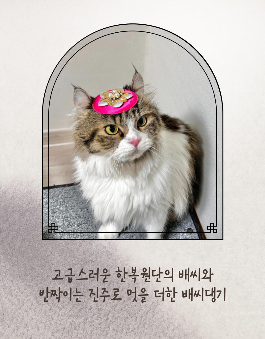[NEW신상][무료배송] 미누레브 라온 배씨 댕기 (진분홍/연노랑) 2번째