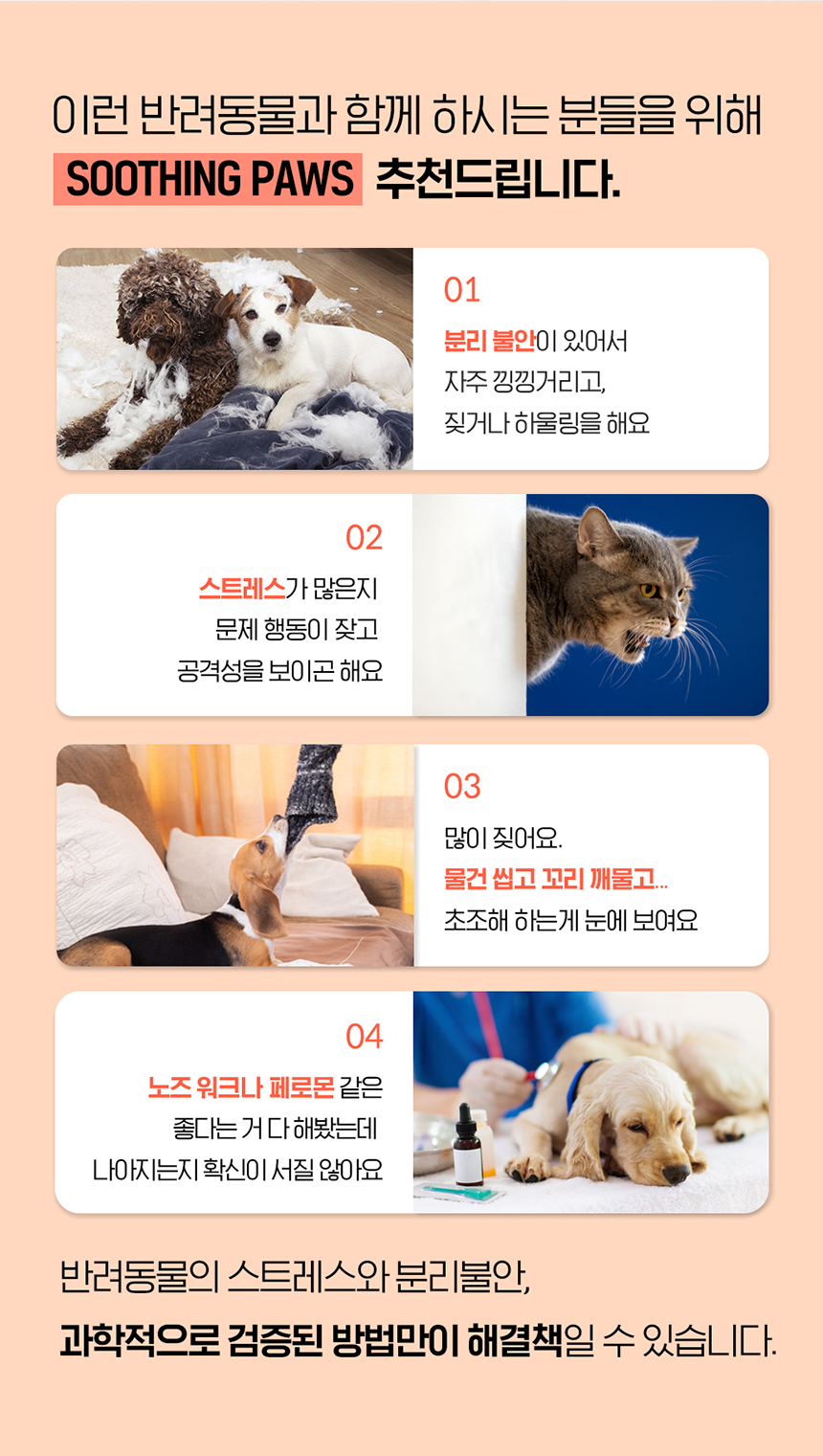 [무료배송] 수딩포 강아지 고양이 CBD 3.3% 햄프씨드 오일 2번째