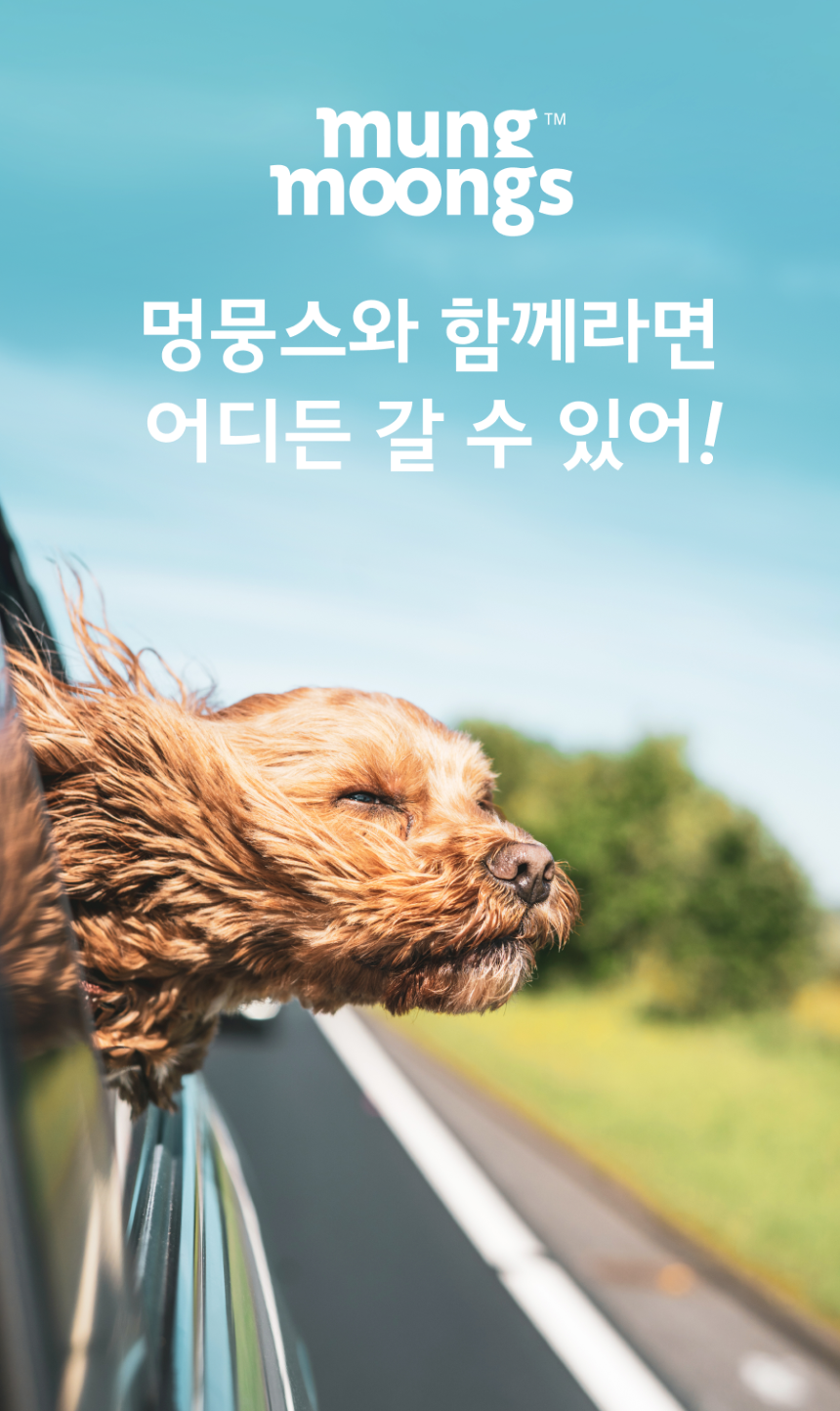 [무료배송] 멍뭉스 더블범퍼 카시트 베이지/블랙 M-L 1번째
